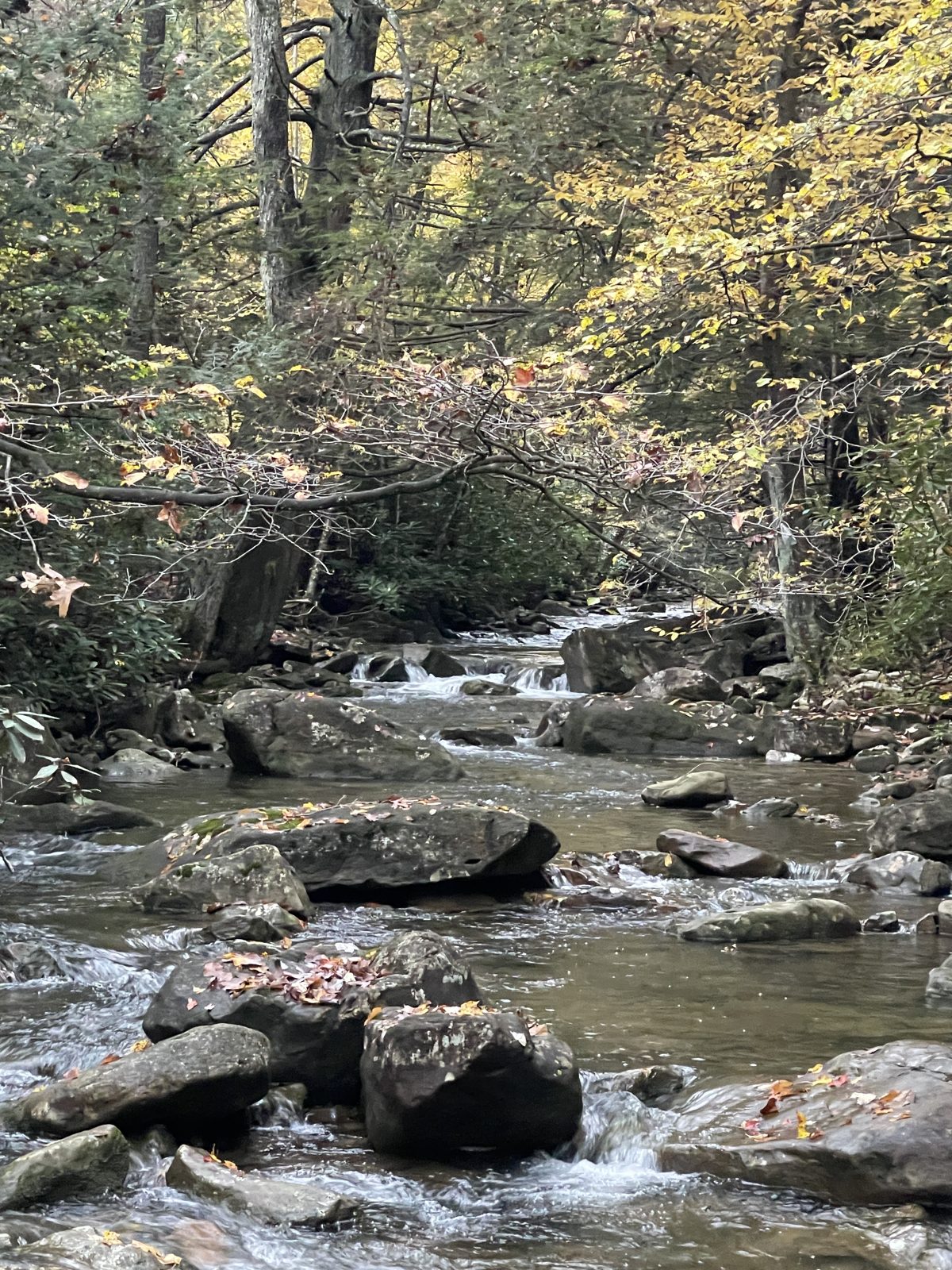 A stream